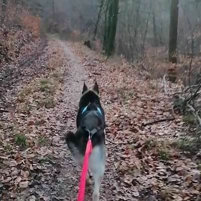 Was hat euch heute gefreut?-Beitrag-Bild