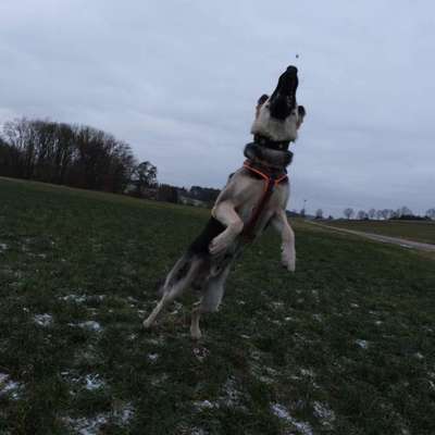 Wie habt ihr den Silvesterabend verbracht?-Beitrag-Bild