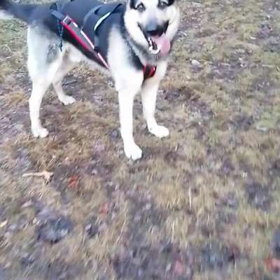 Was hat euch heute gefreut?-Beitrag-Bild