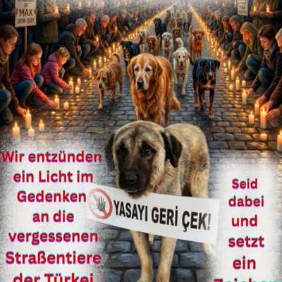 Mahnwache in Würzburg-Beitrag-Bild