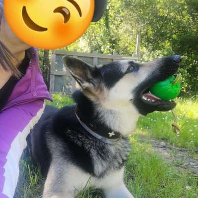 Robuster Ball für einen Mali-Beitrag-Bild