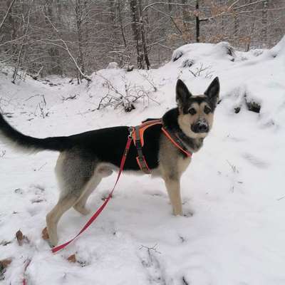 Was hat euch heute gefreut?-Beitrag-Bild