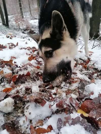 Anpassen bei Minusgraden-Beitrag-Bild