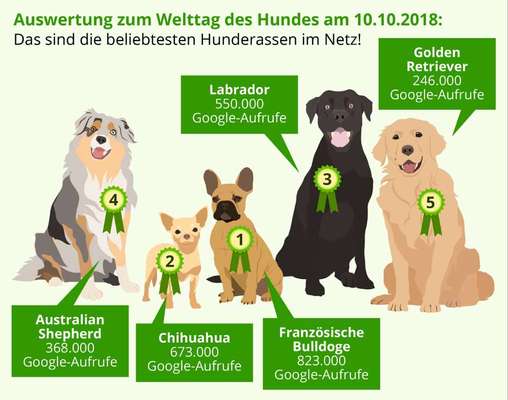 Qualzucht - Warum Aufklärung alleine nicht reicht-Beitrag-Bild