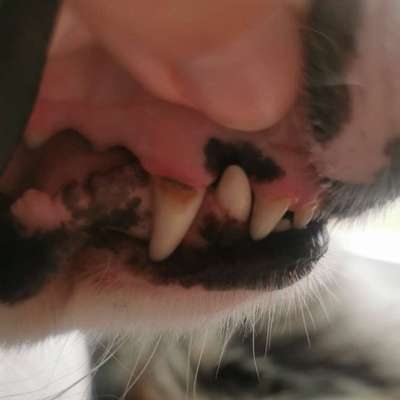 Empfehlung zu Zahnreinigung & Zahnsteinentfernung-Beitrag-Bild