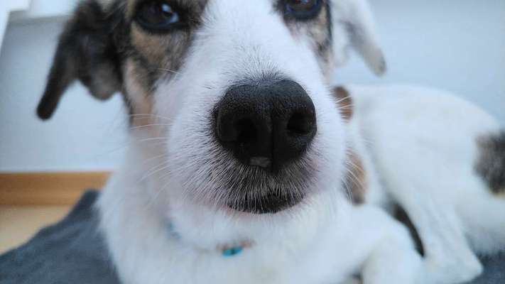 Blick fürs Detail!-Beitrag-Bild