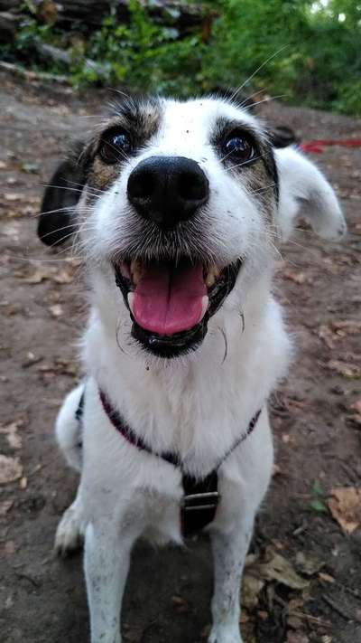 Lieblingsbild :D-Beitrag-Bild