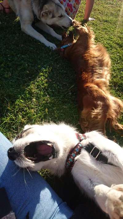 Spieltrieb ;)-Beitrag-Bild