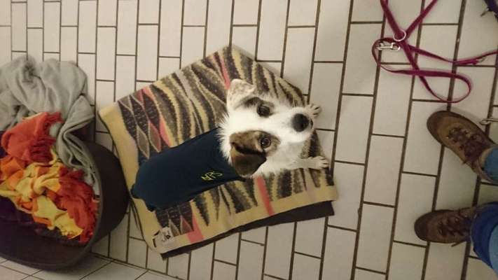 Das erste Foto-Beitrag-Bild