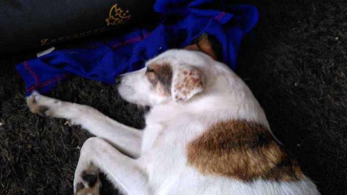 Blick fürs Detail!-Beitrag-Bild