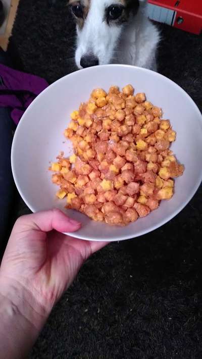 Heute gibt es.....der "ich mach die Leckerlis-Selber-Thread"-Beitrag-Bild