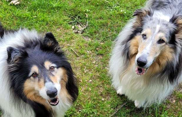 Handy-Foto Challange Nr. 10-Beitrag-Bild