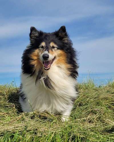 Fotowettbewerb Natur-Beitrag-Bild