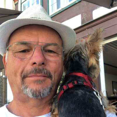 Hundetreffen-Gassirunde im Kurpark-Profilbild