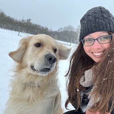 Hundetreffen-Gemeinsame Spaziergänge-Profilbild