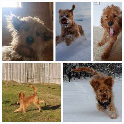 20. Collagen Challenge - "Lustige Schnappschüsse"-Beitrag-Bild