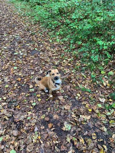 Ton in Ton-Beitrag-Bild