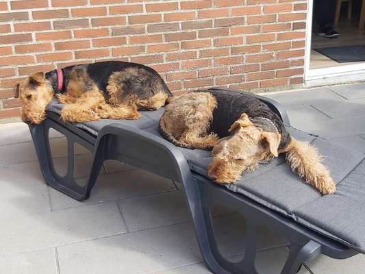 FOTO-Challenge  NR. 91: Die pure Entspannung-Beitrag-Bild