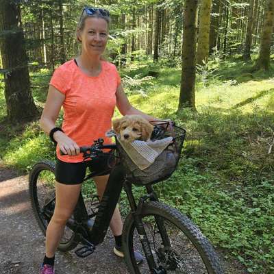 Hundeschulen-DIALOG Hundeschule-Bild