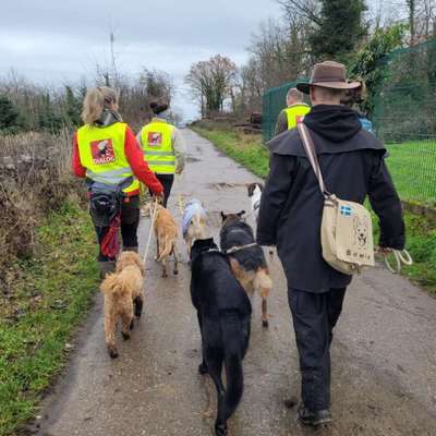 Giftköder-Hund.Gerecht.Handeln. Vor Ort und online-Bild