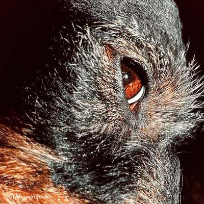 Blick fürs Detail!-Beitrag-Bild