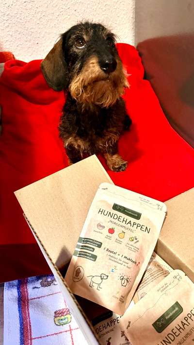 Was sind so die lieblings-Leckerli eurer Hunde?-Beitrag-Bild