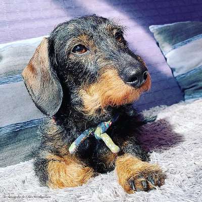 Challenge Nr 14
Eure Fellnasen auf ihrem Lieblingsplatz-Beitrag-Bild