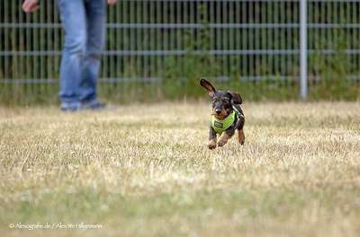 Hundeauslaufgebiet-Troisdorf-Oberlar-Bild