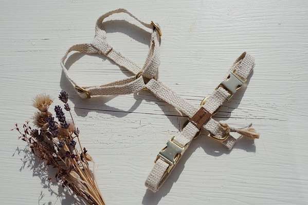 Selbstgemachte Artikel für Hunde-Beitrag-Bild