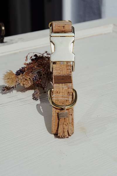 Selbstgemachte Artikel für Hunde-Beitrag-Bild