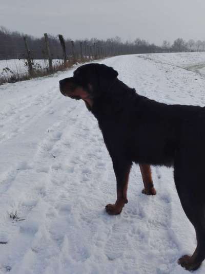 14. Farbenfoto-Challenge "Weiss"-Beitrag-Bild