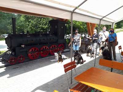 Hundewanderungen in Niederbayern für Raum Passau, Deggendorf, Freyung, Bodenmais und Grafenau...-Beitrag-Bild