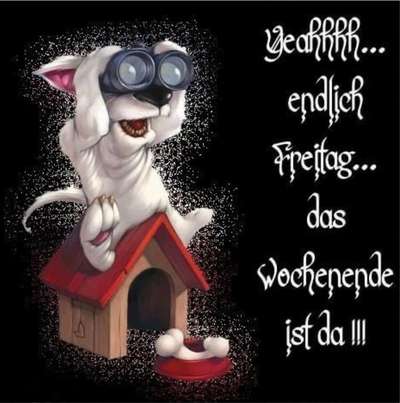 Hier ist der Spaßthread. Zum Schmunzeln und Kaputtlachen-Beitrag-Bild