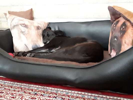 müde der kleine-Beitrag-Bild