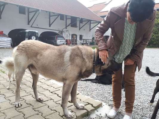 Vorurteile-Beitrag-Bild