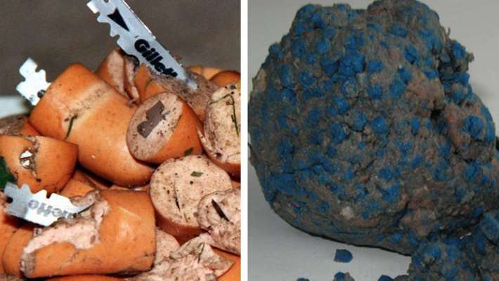 Hundekot wegräumen-Beitrag-Bild