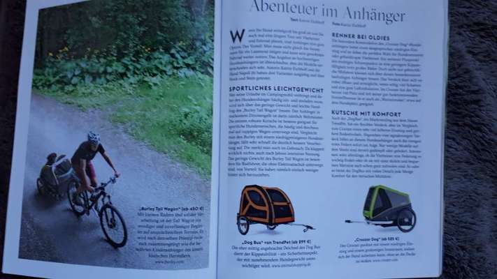 Erfahrungen mit dem Klarfit Husky Vario?-Beitrag-Bild