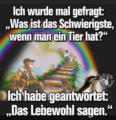 Erinnerungs Tattoos-Beitrag-Bild