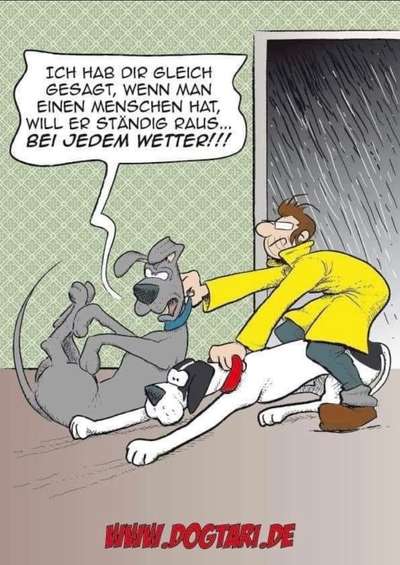 Hier ist der Spaßthread. Zum Schmunzeln und Kaputtlachen-Beitrag-Bild