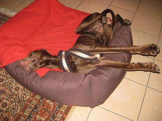 müde der kleine-Beitrag-Bild