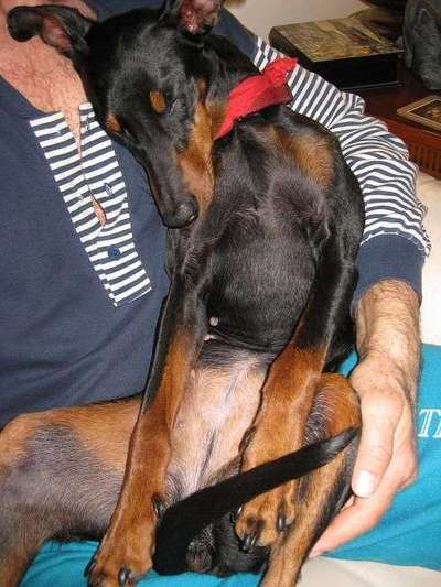 Die unbequemsten und lustigsten Schlafpositionen-Beitrag-Bild