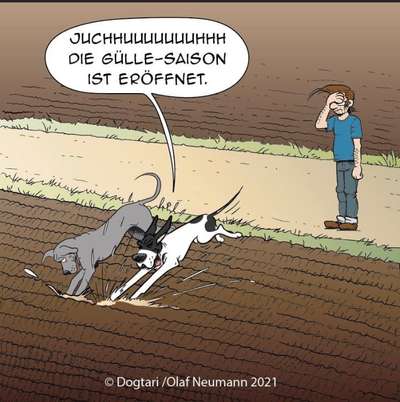 Hier ist der Spaßthread. Zum Schmunzeln und Kaputtlachen-Beitrag-Bild