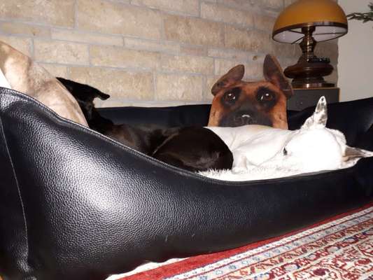 müde der kleine-Beitrag-Bild