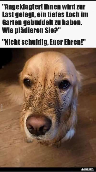 Hier ist der Spaßthread. Zum Schmunzeln und Kaputtlachen-Beitrag-Bild