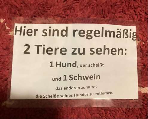 Hundekot wegräumen-Beitrag-Bild