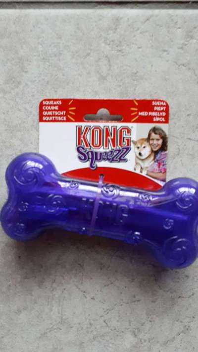 Quietschies-Beitrag-Bild