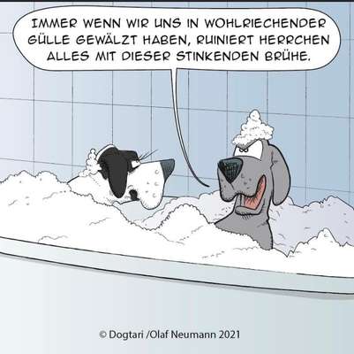 Hier ist der Spaßthread. Zum Schmunzeln und Kaputtlachen-Beitrag-Bild