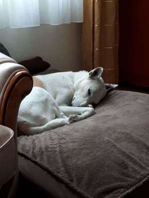 Schlafposition-Beitrag-Bild