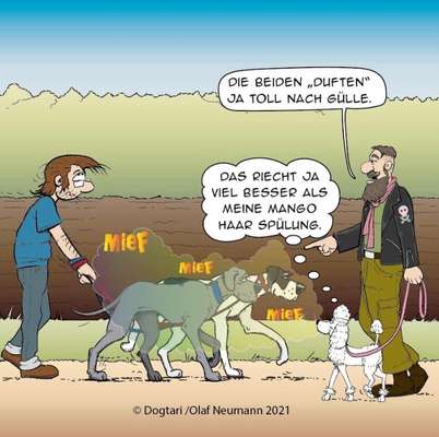 Hier ist der Spaßthread. Zum Schmunzeln und Kaputtlachen-Beitrag-Bild