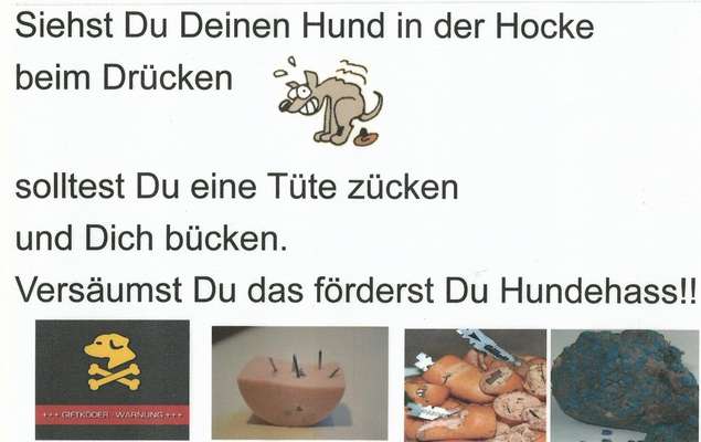Hundekot wegräumen-Beitrag-Bild